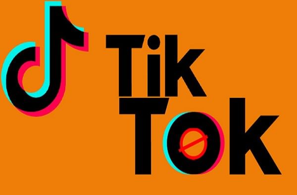 पोलीस व्हॅनमध्ये TikTok व्हिडीओ करणं भोवलं, कल्याणमध्ये दोघांवर कारवाई