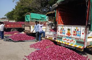 सर्वसामान्यांसाठी खुशखबर; मुंबई एपीएमसी भाजीपाला मार्केटमध्ये भाज्यांचे आवक वाढल्याने दरात स्थिरता