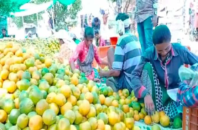 कोरोनामुळे संत्रा उत्पादक शेतकऱ्यांची चांदी, दर प्रतिटन 25 ते 30 हजार रुपयांवर