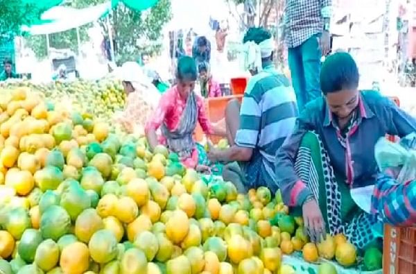 कोरोनामुळे संत्रा उत्पादक शेतकऱ्यांची चांदी, दर प्रतिटन 25 ते 30 हजार रुपयांवर