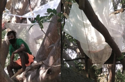 लॉकडाऊनमुळे मजुरांची गावाकडे धाव, घरात वेगळी रुम नसल्यानं झाडावर क्वारंटाईन
