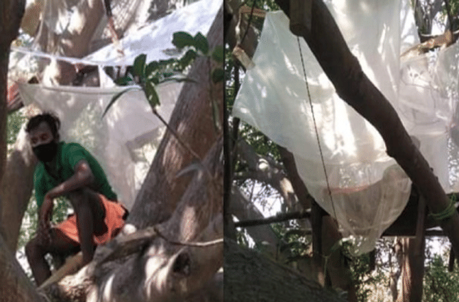 लॉकडाऊनमुळे मजुरांची गावाकडे धाव, घरात वेगळी रुम नसल्यानं झाडावर क्वारंटाईन