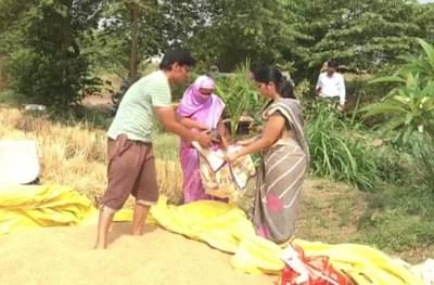 मी श्रीमंत नाही, पण गरजूंना अर्धी भाकर देण्याची दानत, नाशिकच्या शेतकऱ्याचं शिवार खुलं