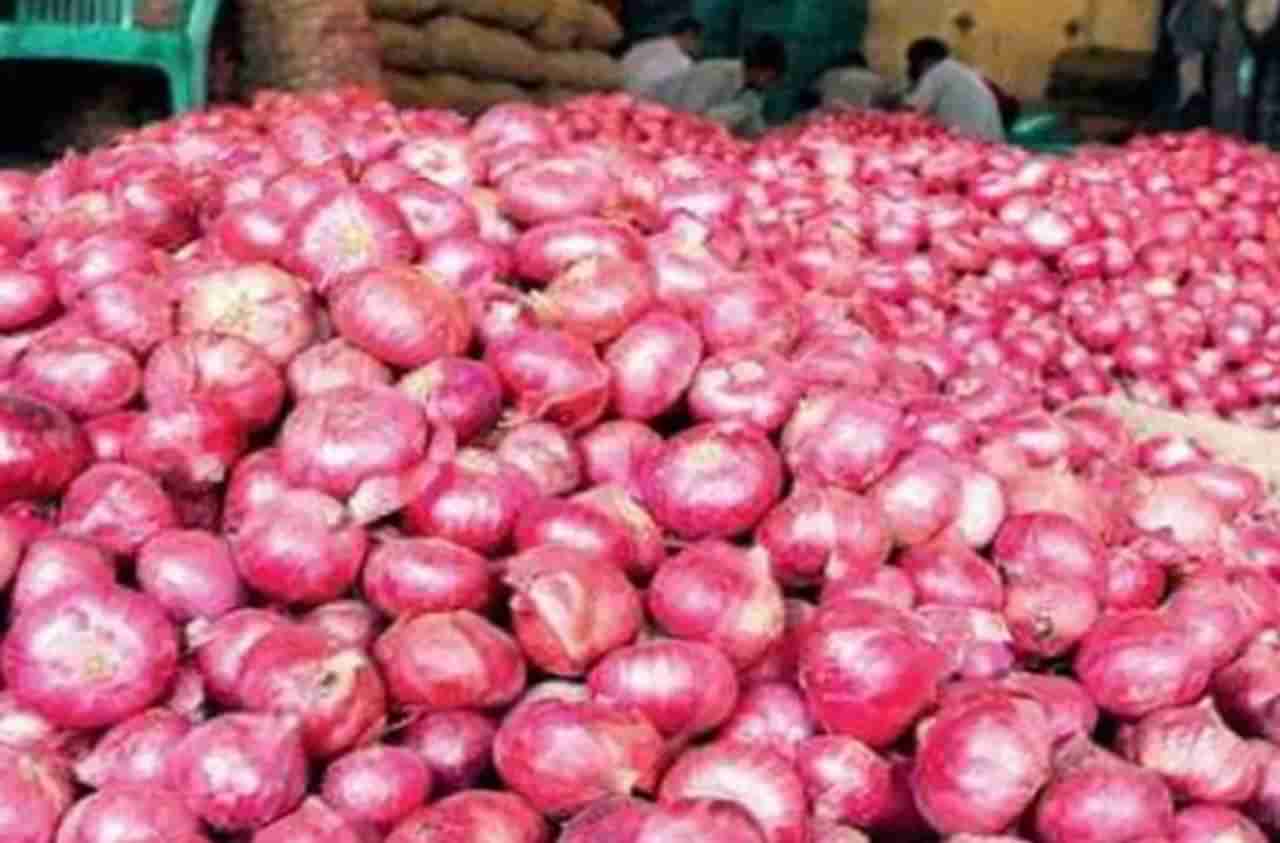 तुर्कस्तानचा 100 टन आयात कांदा पिंपळगाव बसवंत इथं दाखल, कांदा उत्पादक शेतकरी आक्रमक