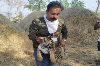 पुण्यात अनोखं लग्न, मुलाचे वडील देहरादूनमध्ये, मुलीचे वडील नागपुरात, पोलिसांकडून कन्यादान