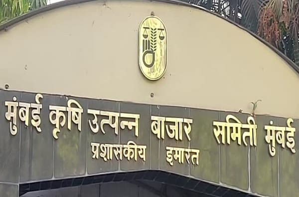 कोरोनाच्या संकटात एपीएमसी अधिकाऱ्यांची स्वेच्छानिवृत्ती, 20 अधिकारी, कर्मचाऱ्यांचे निवृत्तीसाठी अर्ज