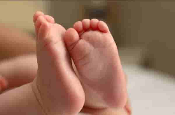 बिलासपूर : अल्पवयीन पालकांनीच नवजात बालकाला झुडुपात फेकले, पोलीस तपासात प्रकरणाचा उलगडा