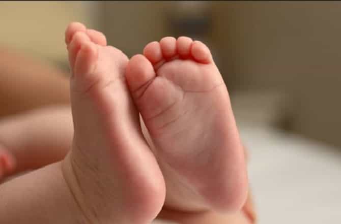 बिलासपूर : अल्पवयीन पालकांनीच नवजात बालकाला झुडुपात फेकले, पोलीस तपासात प्रकरणाचा उलगडा