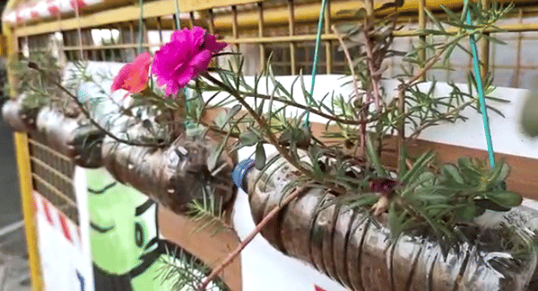 लॉकडाऊनदरम्यान रस्त्यावर प्लास्टिकच्या बाटल्यांचा खच, नाशिकच्या पोलीस पठ्ठ्याने बाटलीतून बाग फुलवली