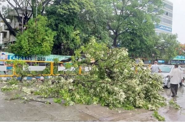 Cyclone Nisarga | मुंबई-अलिबागमध्ये झाडं कोसळली, पुण्यात धावत्या कारवर झाड पडले, जीवितहानी नाही