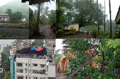 PHOTO | झाडांची पडझड, पत्रे उडाले, निसर्ग चक्रीवादळाचं रौद्र रुप
