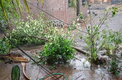 निसर्ग चक्रीवादळाचा फटका, पुण्याजवळ तब्बल 540 वीज वाहिन्यांचा पुरवठा बंद