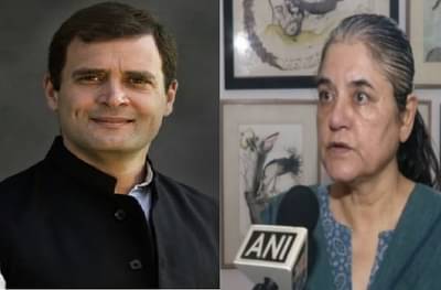 राहुल गांधी वायनाडचे खासदार, केरळमधील हत्तीणीच्या मृत्यूप्रकरणी अद्याप कारवाई का नाही? मेनका गांधी संतप्त