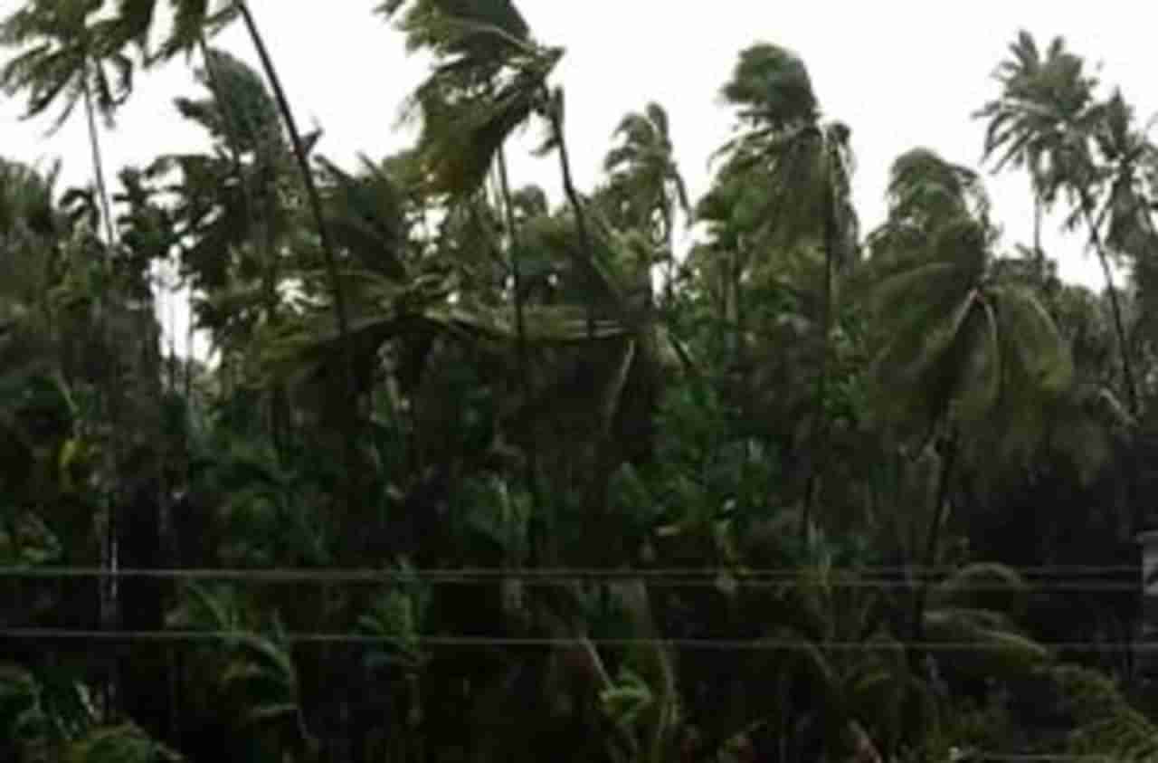 Cyclone Nisarga | केंद्रीय पथक रायगड जिल्ह्याच्या दौऱ्यावर, चक्रीवादळाने झालेल्या नुकसानाची पाहणी