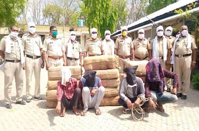 हैदराबादहून आलेल्या ट्रकचा थरारक पाठलाग, अमरावतीत पोलिसांनी 300 किलो गांजा पकडला