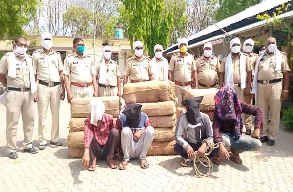हैदराबादहून आलेल्या ट्रकचा थरारक पाठलाग, अमरावतीत पोलिसांनी 300 किलो गांजा पकडला