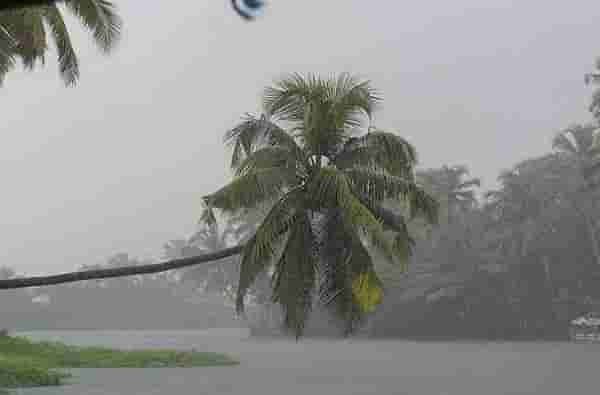 Weather Alert: राज्यात परतीच्या पावसाची हजेरी, या भागांत मुसळधार ते मध्यम सरी कोसळणार