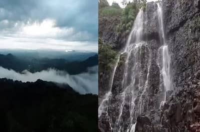 Amboli Water Fall | एकीकडे धुक्याची चादर, दुसरीकडे कोसळणारा धबधबा, बहारदार आंबोली