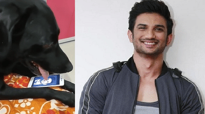 मालकाच्या अकाली निधनाचा मूक जनावरालाही धक्का, सुशांतच्या लाडक्या कुत्र्याने जेवणही सोडलं