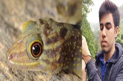 Tejas Thackeray | बोईगा ठाकरेनंतर तेजस ठाकरेंनी पालीची दुर्मिळ प्रजाती शोधली