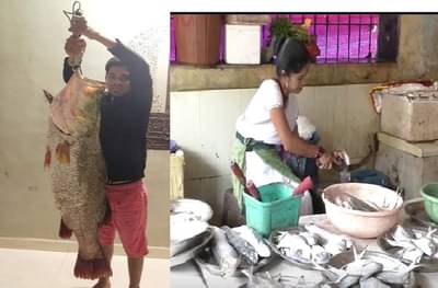 मत्स्यप्रेमींना हवाहवासा जिताडा उरणमध्ये सापडला, 35 किलोच्या माशाची किंमत ऐकून थक्क व्हाल!