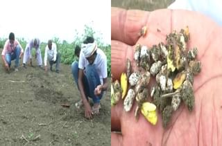Sushant Singh Rajput | सुशांत सिंह राजपूतचा अंतिम शवविच्छेदन अहवाल, गुदमरुन मृत्यू झाल्याचा निष्कर्ष
