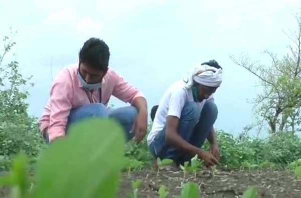 शेतकऱ्यांसाठी खुशखबर; दोन दिवसांत नुकसान भरपाईचे पैसे खात्यात जमा होणार