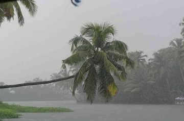 Rain Updates : महाराष्ट्रात मुसळधार, मुंबई-ठाण्यात पावसाचा जोर, अनेक भाग जलमय