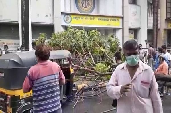 Tree Collapse | सहजा सहजी न पडणारं झाड पडलं, बँकेसमोर उभे असलेल्या एकाचा मृत्यू, दोघे जखमी