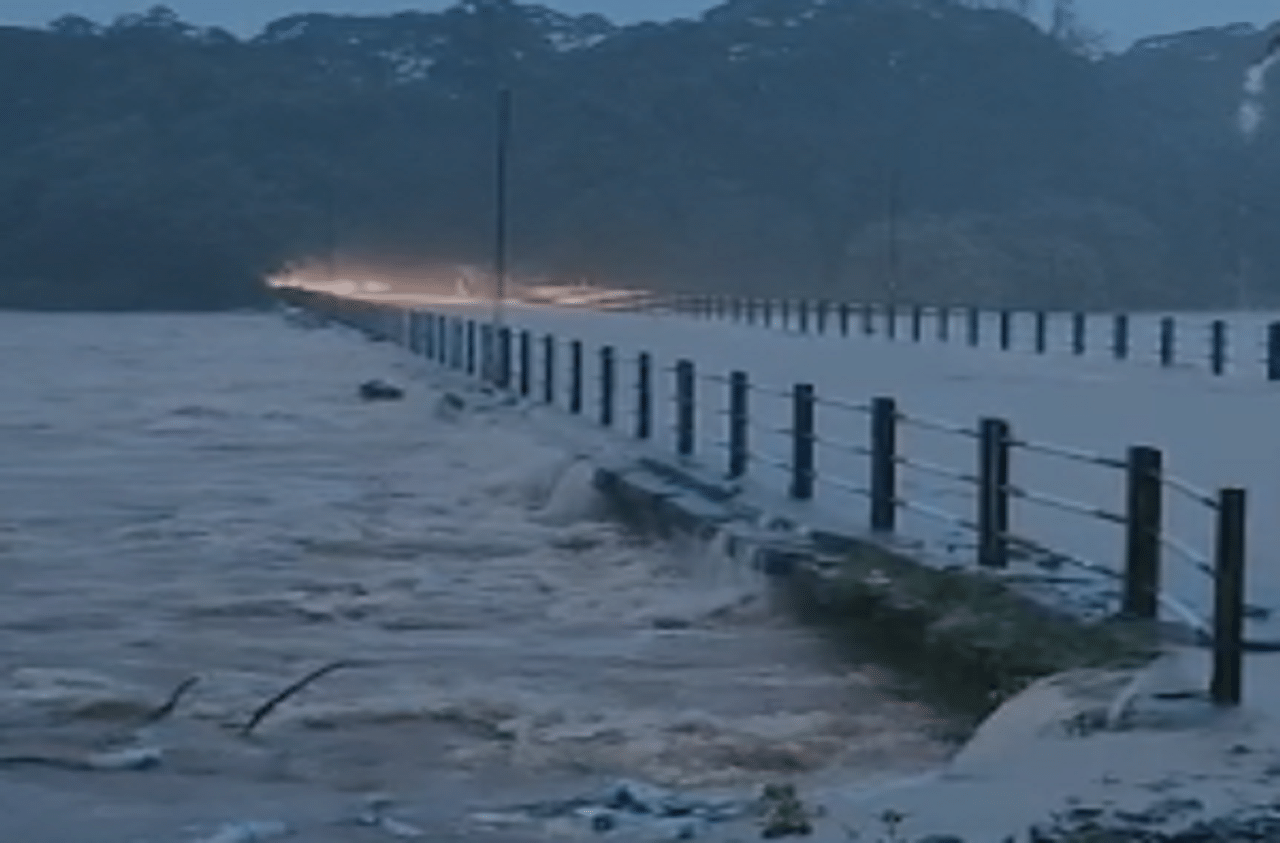 LIVE : कोकणात मुसळधार पाऊस, रायगडमध्ये कुडंलिका नदीने धोक्याची पातळी ओलांडली