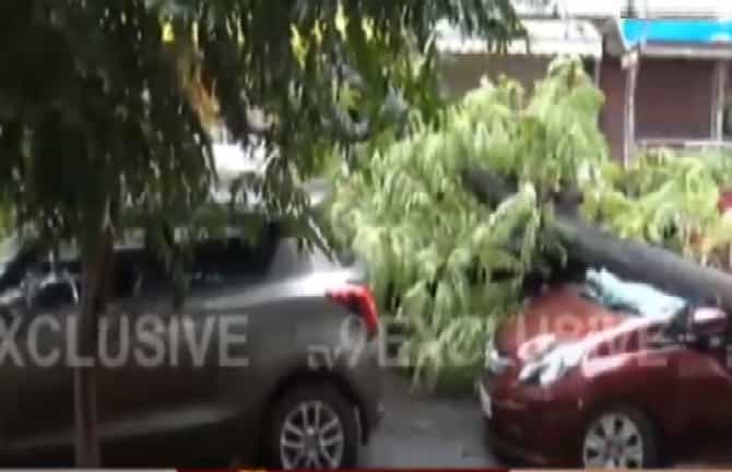 Mumbai Rains Live | मुंबई-ठाण्यात पावसाचा जोर कायम, सोसाट्याच्या वाऱ्याने झाडं पडली