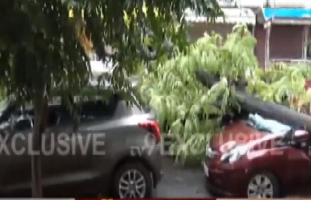 Mumbai Rains Live | मुंबई-ठाण्यात पावसाचा जोर कायम, सोसाट्याच्या वाऱ्याने झाडं पडली