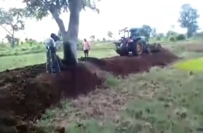 पडीक वनजमिनीवर शेती पिकवली, पण वनविभागाने उभ्या पिकावर ट्रॅक्टर फिरवला