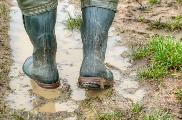 Leptospirosis | 'लेप्टो'चा धोका! पायाला जखम असल्यास पावसाच्या पाण्यातून चालणे टाळा