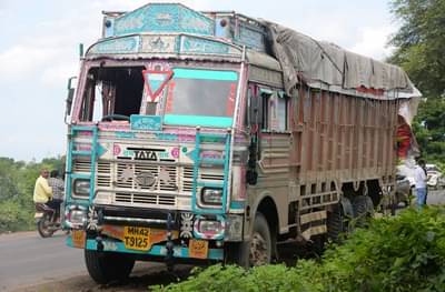 झाडांच्या नावाखाली गांजाची तस्करी, जळगावात 38 लाखांचे अमली पदार्थ जप्त