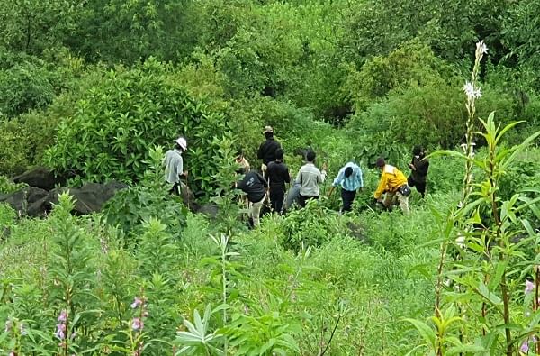 साताऱ्यातील एकाच कुटुंबातल्या चौघांच्या हत्येचे गूढ उकलले साताऱ्यातील एकाच कुटुंबातल्या चौघांच्या हत्येचे गूढ उकलले
