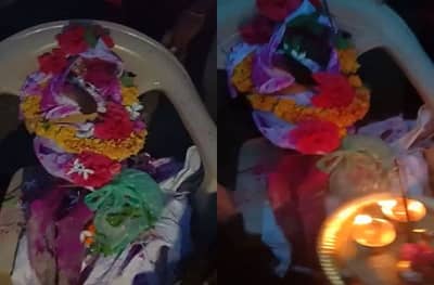 वीजेच्या धक्क्याने माकडाचा मृत्यू, ट्रॅक्टरमधून अंत्ययात्रा, आंघोळ घालून अंत्यसंस्कार