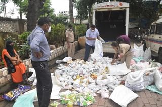 व्याघ्र प्रेमींसाठी खुशखबर, ताडोबा पर्यटन पुन्हा सुरु करण्याच्या हालचाली