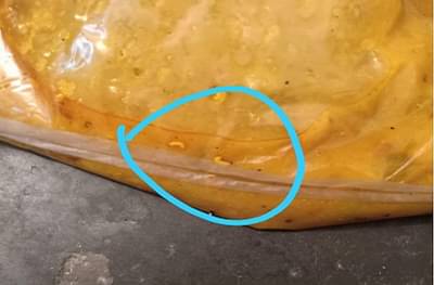 टाटा आमंत्रा कोव्हिड सेंटरमध्ये रुग्णांच्या जेवणात अळ्या, केडीएमसीचा भोंगळपणा चव्हाट्यावर