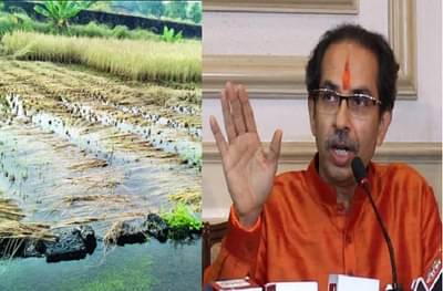 मराठवाड्यात अतिवृष्टीमुळे शेतीचं नुकसान, ओला दुष्काळ जाहीर करा, भाजप आमदाराचे मुख्यमंत्र्यांना पत्र