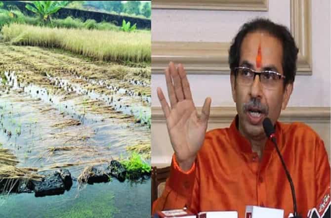 मराठवाड्यात अतिवृष्टीमुळे शेतीचं नुकसान, ओला दुष्काळ जाहीर करा, भाजप आमदाराचे मुख्यमंत्र्यांना पत्र