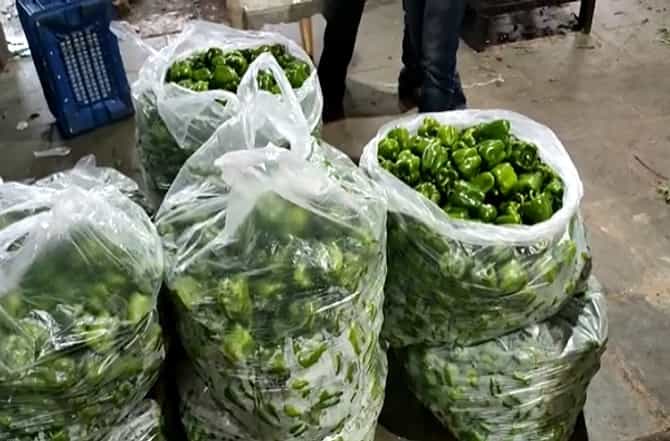 गवार 60, तर टोमॅटो 35 रुपये प्रतिकिलो, APMC मार्केटमध्ये भाज्या कडाडल्या