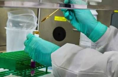 कोरोना व्हायरस मानवी त्वचेवर किती वेळ जिवंत राहतो? संशोधनात अंचबित करणारी माहिती समोर