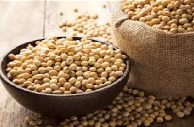 विदर्भात शेतकऱ्यांची लूट, हमीभावापेक्षा कमी दराने सोयाबीनची खरेदी