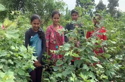 खेड्यात ऑनलाईन शिक्षणाचा खेळखंडोबा, मोबाईलसाठी विद्यार्थी मजुरीला