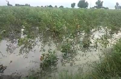 पिकांच्या नुकसानीचे पंचनामे करण्यासाठी तलाठी संघटनेची महसूलच्या संपामधून माघार, सामाजिक बांधिलकीचं कौतुक