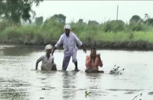मुसळधार पावसामुळे संपूर्ण शेती पाण्याखाली गेली आहे. त्यामुळे येथील शेतकरी हवालदिल झाला आहे. 