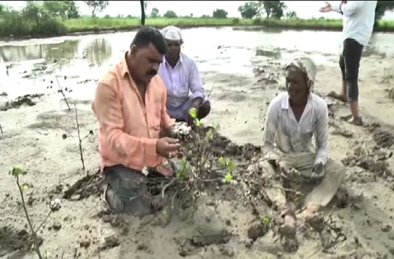 राज्यातील अनेक भागांमध्ये सध्या परतीच्या पावसाने अक्षरश: थैमान घातले आहे. विशेषत: ग्रामीण भागात पावसाचा प्रचंड जोर आहे. त्यामुळे शेकडो हेक्टर शेती पाण्याखाली गेली आहे. 