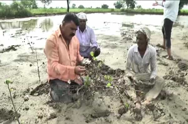 राज्यातील अनेक भागांमध्ये सध्या परतीच्या पावसाने अक्षरश: थैमान घातले आहे. विशेषत: ग्रामीण भागात पावसाचा प्रचंड जोर आहे. त्यामुळे शेकडो हेक्टर शेती पाण्याखाली गेली आहे.
