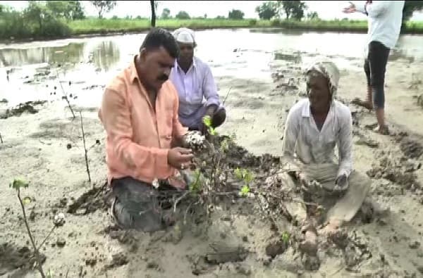 राज्यातील अनेक भागांमध्ये सध्या परतीच्या पावसाने अक्षरश: थैमान घातले आहे. विशेषत: ग्रामीण भागात पावसाचा प्रचंड जोर आहे. त्यामुळे शेकडो हेक्टर शेती पाण्याखाली गेली आहे.